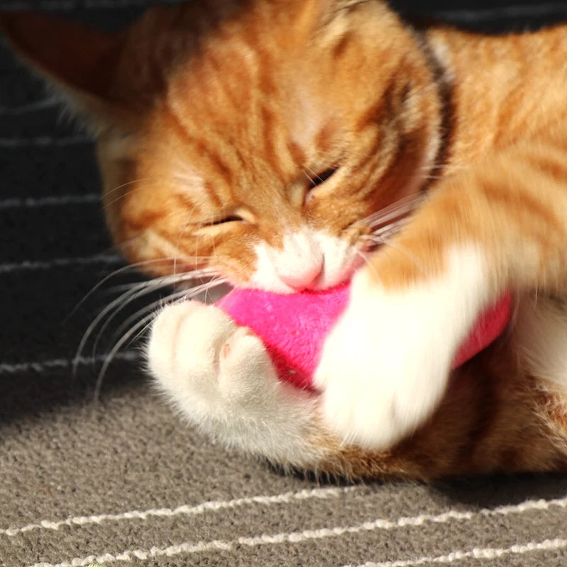 Catnip Bite & Chew Toy for Cats