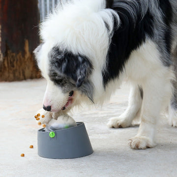 Interactive Dog Enrichment Toy with Multiple Functions