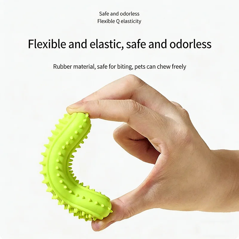 Dog Teething Toy Set