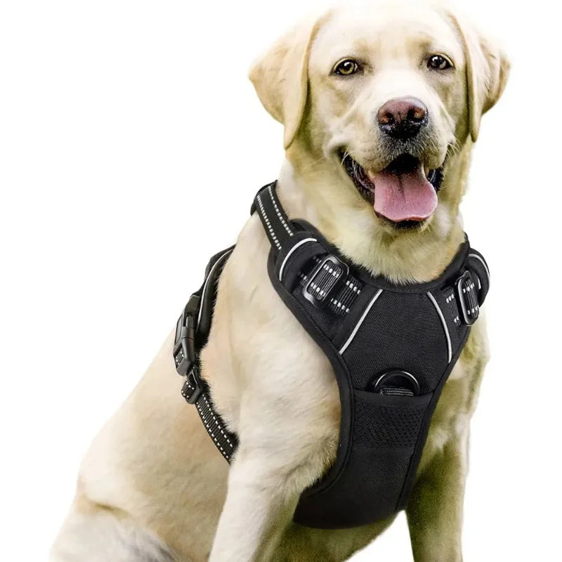 Dog Harnesses & Collars