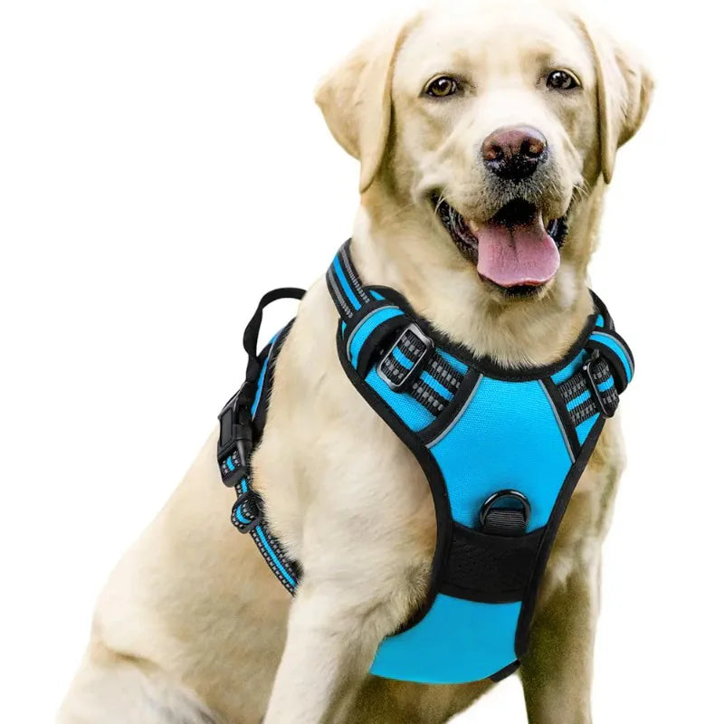 Dog Harnesses & Collars