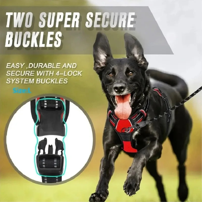 Dog Harnesses & Collars