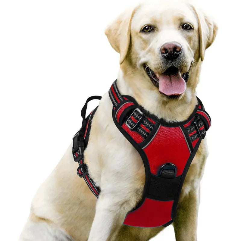 Dog Harnesses & Collars
