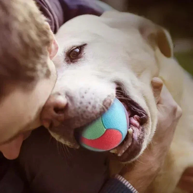 Solid Rubber Dog Balls