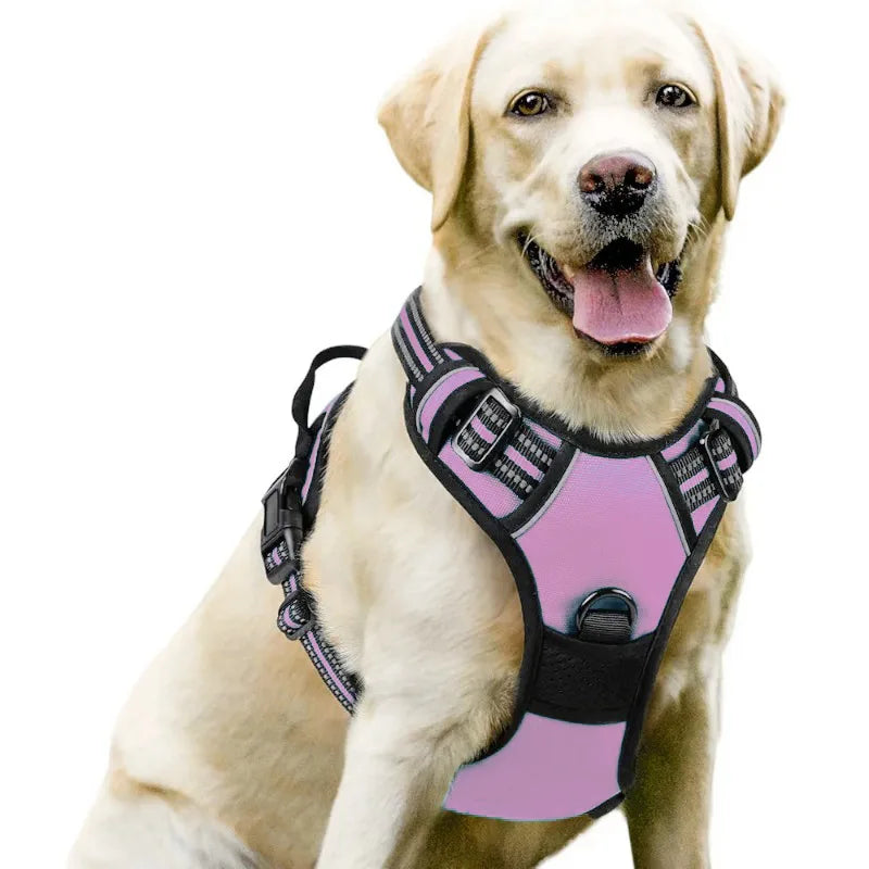 Dog Harnesses & Collars