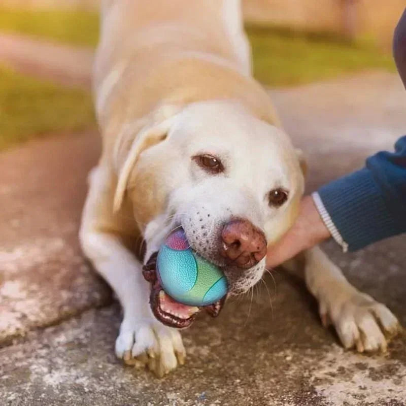 Solid Rubber Dog Balls