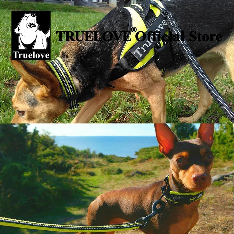 Truelove Reflective Dog Collar