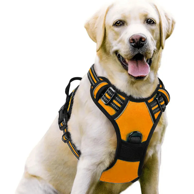 Dog Harnesses & Collars