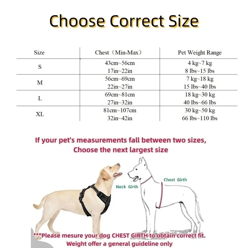 Dog Harnesses & Collars