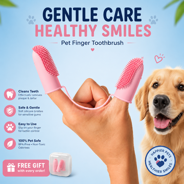 Pet Toothbrush
